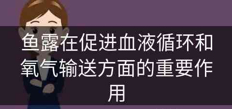 鱼露在促进血液循环和氧气输送方面的重要作用